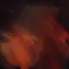 ibreelmf