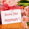 user810742341449