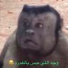 user9923419349953