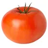 danitomaat
