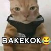 _caasukamieayam