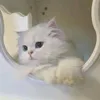 m1_kpwz