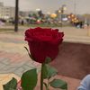a_dhalsh