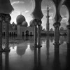 alissia.habiba