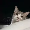 1yodskie