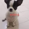neen10170