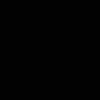 p.siv2