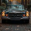 batya_8008