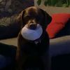 jethro_301