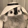 lai lai ♡