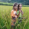 kalesunar552
