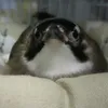 userqozx7a9bdc