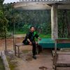 dederollanlembayung