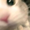 piree_e