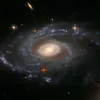 aslfuck
