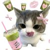 user192384452