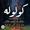 hamzh334