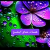 _husseinhasan
