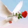 user12345678911111111110