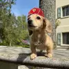 usertoql