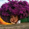 dimeshay