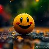 tallha_umar_001