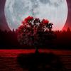 fig_____07
