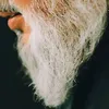 nivineelhaj