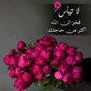 user4954440956297