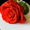 ummohameed557
