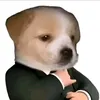 bear_29.10...8386