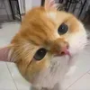 mytiennn1911