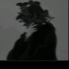 fyc_.y
