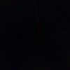 taler_murphy