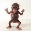 zwsexxx