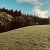 dyl__31