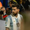 6q.wc