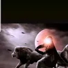 mohamed313963