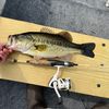 largemouth.ass