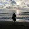 wyethtzy_topphgloo