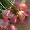 mylt_20