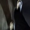 prz_nph18