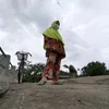 nahdaba