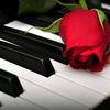 solo_feeling