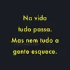 alineviviferreira