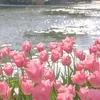 theylovenature2