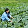 onzonorganic