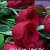 kashifhaider456