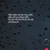 siro123457