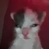 0_krzysiek_